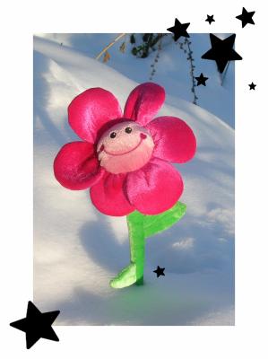 Bizoux Calins Papouilles & Gentillesses.