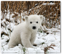 Moi aussi moi aussi >.<