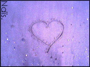 04/07/08 -> 14/07/08