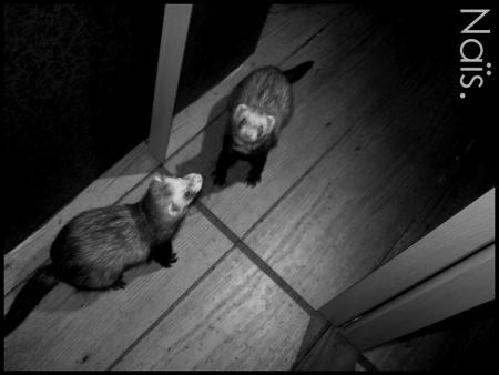 La r�alit� d'aujourd'hui ca vaux pas un sous !